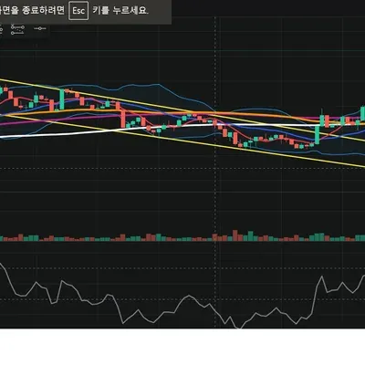 [30일 챌린지 8기 4주차]