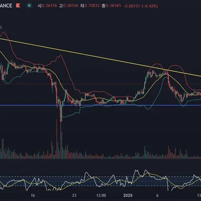 30일 챌린지 8기 4주차