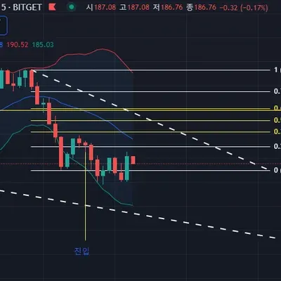 [30일 챌린지 8기 4주차]  손실