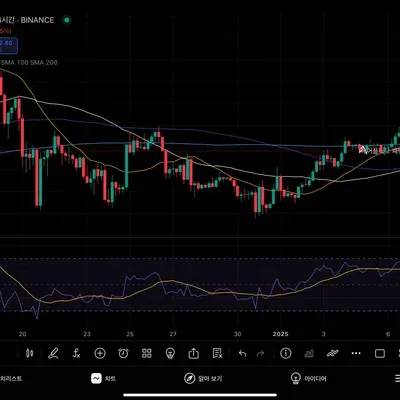 [30일 챌린지 10기 2주차] rsi지표