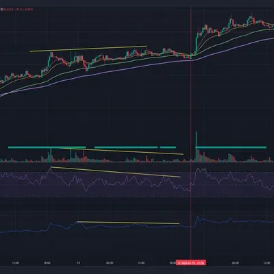 다이버전스 제가 잘 못 본건가요??