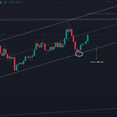 라이트코인 신규 진입 근거