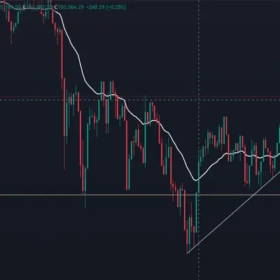  [30일 챌린지 11기 1주차]