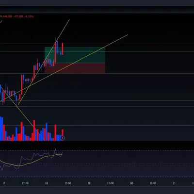 [30일 챌린지 8주차] 수익인증
