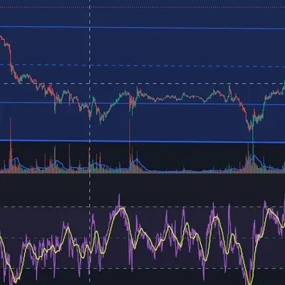 30일 챌린지 10기 2주차