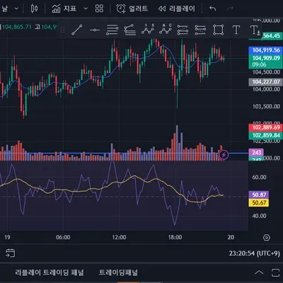[30일 챌린지 10기 2주차] RSI
