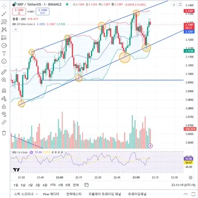 [30일 챌린지 9기 3주차]