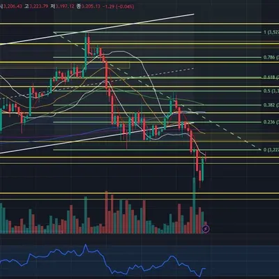 [30일 챌린지 9기 3주차] 