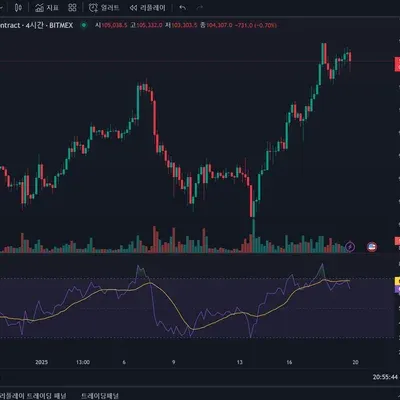 [30일 챌린지 10기 2주차]
