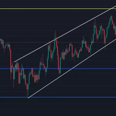 [30일 챌린지 11기 1주차]