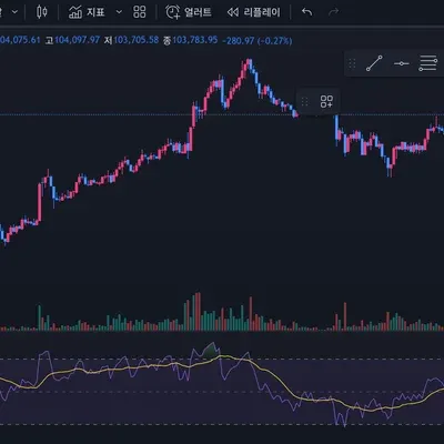 [30일 챌린지 10기 2주차] RSI
