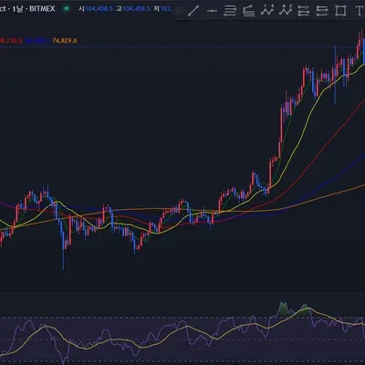 [30일 챌린지 10기 2주차]