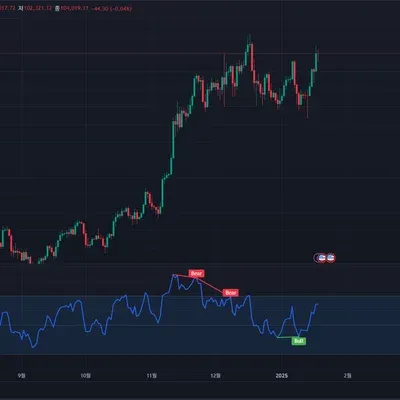 [30일 챌린지 10기 2주차] RSI 지표 분석