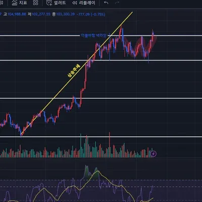 [30일 챌린지 9기 3주차] 