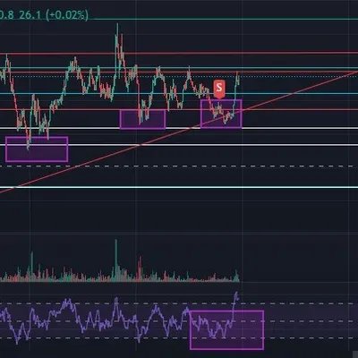 [30일 챌린지 8기 4주차]