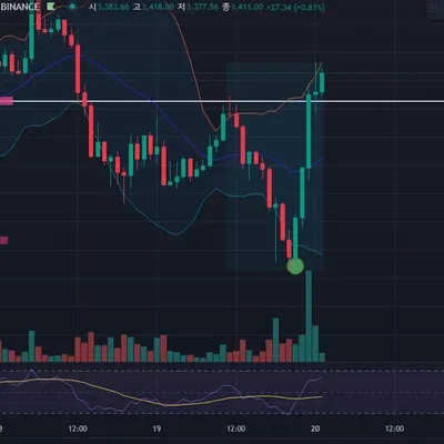[30일 챌린지 9기 3주차]
