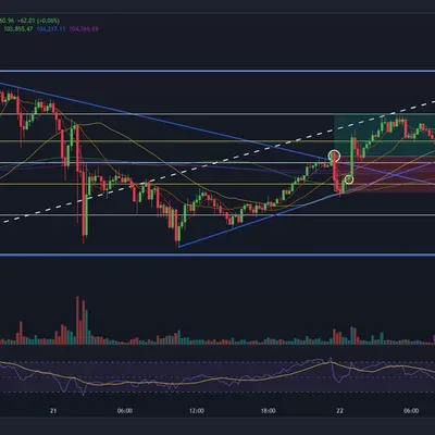 glory 1차 매매일지