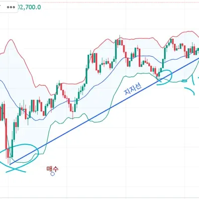 [30일 챌린지 9기 3주차]