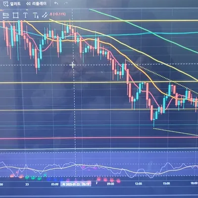 [30일챌린지 11기 2주차]