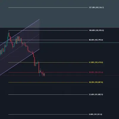 우등생 수익인증