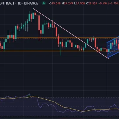 30일 챌린지 11기 2주차