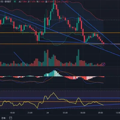 [30일 챌린지 9기 4주차]