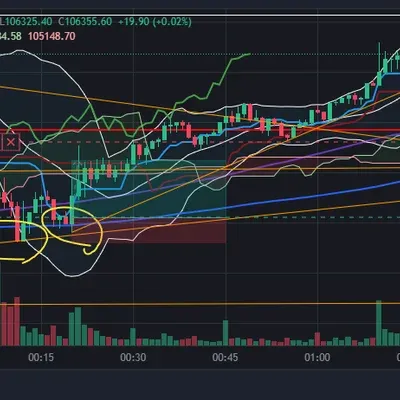 우등생방 수익인증