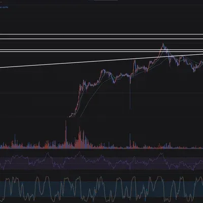 [30일 챌린지 11기 2주차]