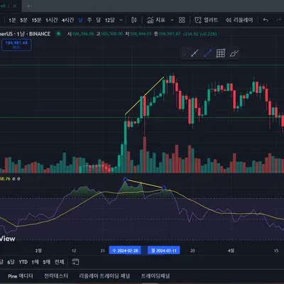 [30일 챌린지 11기 2주차] 가격과 RSI를 통한 다이버전스
