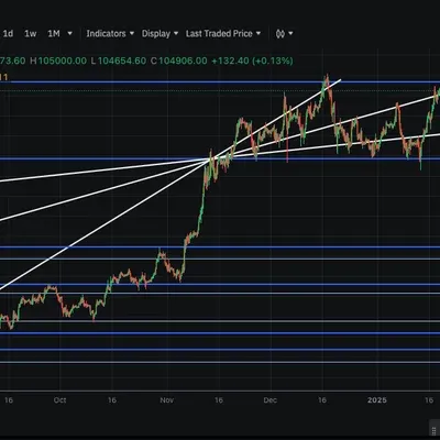 [30일 챌린지 10기 3주차] 차트분석