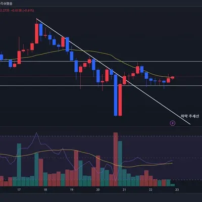 30일 챌린지 12기 1주차