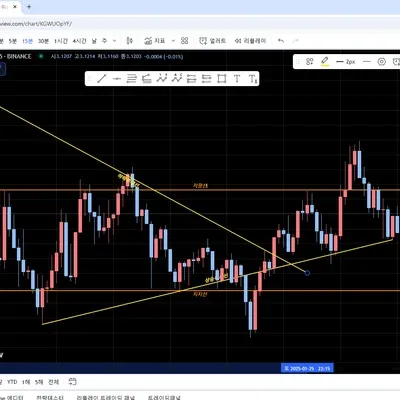 [30일 챌린지 12기 1주차] 지지, 저항, 주체선