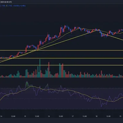 30일 챌린지 12기 1주차