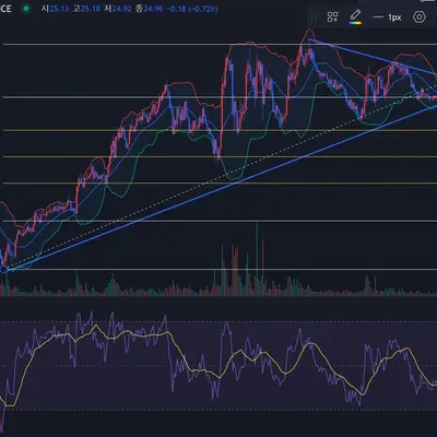  [30일 챌린지 11기 2주차]