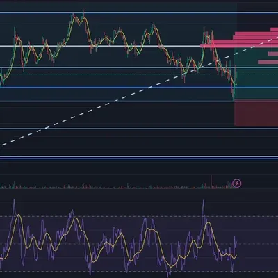 30일 챌린지 12기 2주차