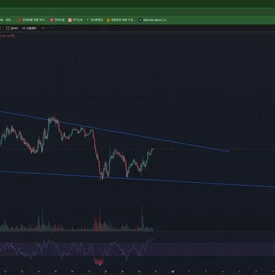 [30일 챌린지 11기 2주차] RSI 지표 사용