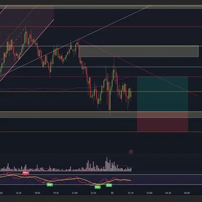 우등생 매매일지 또는 맴매일지