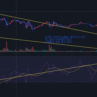 [30일 챌린지 12기 2주차] RSI지표