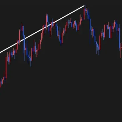 [30일 챌린지 13기 1주차] 작도  