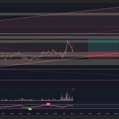 우등생 매매일지 또는 맴매일지