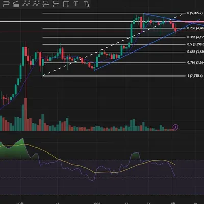 30일 챌린지 12기 2주차
