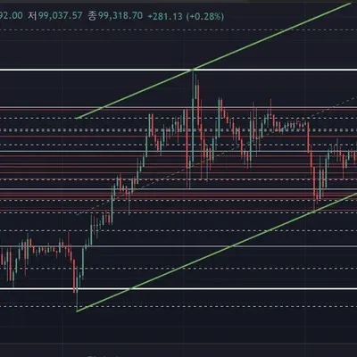 [30일 챌린지 10기 4주차] 호이호이