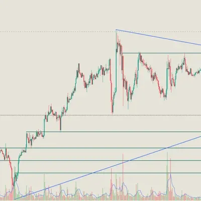 [30일 챌린지 13기 1주차]