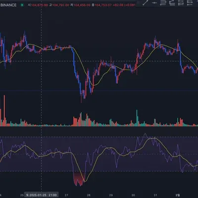 [30일 챌린지 12기 2주차] RSI 차트 적용