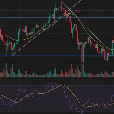 [30일 챌린지 13기 1주차]