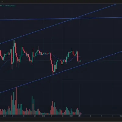 [30일 챌린지 11기 3주차] 