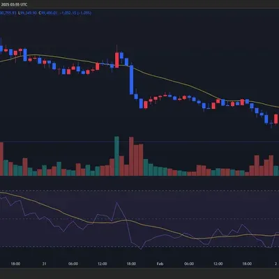 30일 챌린지 12기 2주차 RSI 지표 추가