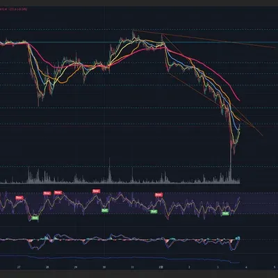 [30일 챌린지 11기 3주차]