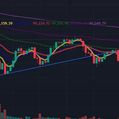 [30일 챌린지 10기 4주차]