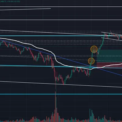 [30일 챌린지 11기 4주차]